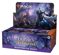 Wizards of the Coast- Magic the Gathering - Les Friches d'Eldraine