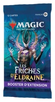 Wizards of the Coast- Magic the Gathering - Les Friches d'Eldraine