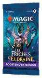 Wizards of the Coast- Magic the Gathering - Les Friches d'Eldraine
